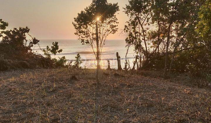 Tanah:5000 M2(50 are) los tebing / los pantai super langka siap Bangun Di pantai Bonian sebelah Balian beach Tabanan Bali  1