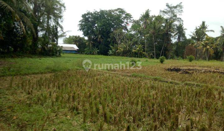 Land: 5000 M2 (50 are) super rare river lot ready to be built in Buwit kaba kaba Tabanan Bali  1