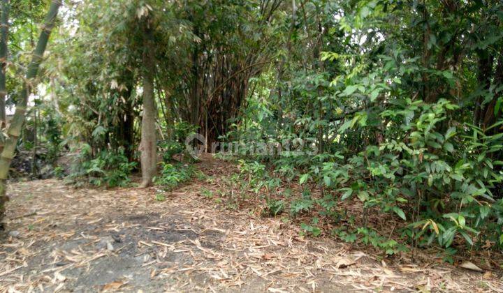 Land: 5000 M2 (50 are) super rare river lot ready to be built in Buwit kaba kaba Tabanan Bali  2