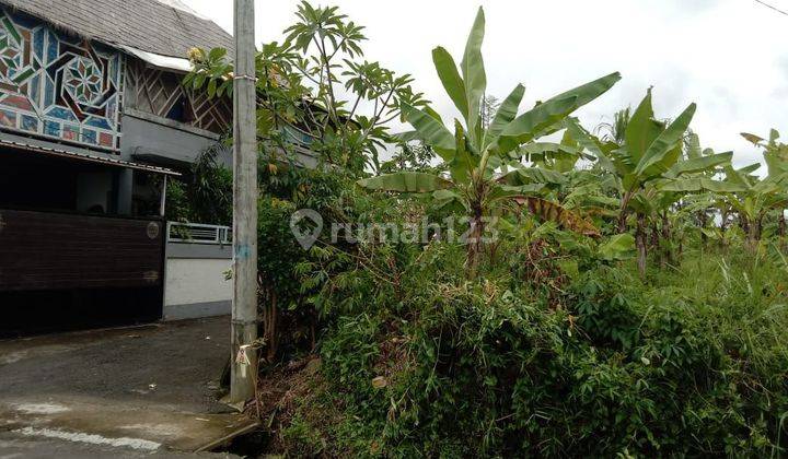 Tanah:1160 M2(11,6 are ) super langka siap Bangun Di jln utama Tumbak Bayuh Pererenan Bali  2