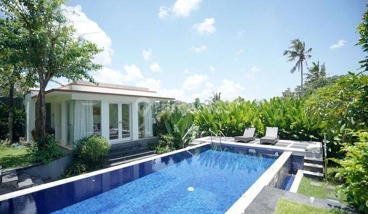 Villa Luxury  full view sawah super langka siap Huni Di Babakan Canggu Bali  1