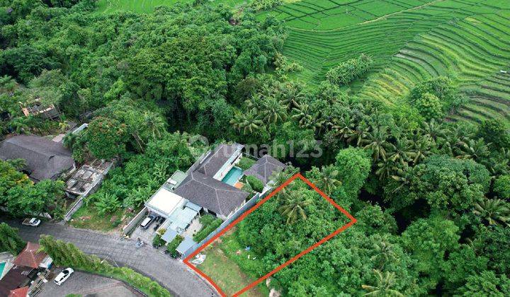 Land: 930 M2 ( 9.3 are ) river lot full view super rare eternal rice fields ready to build in greenlot complex jln by pass Tanah lot Munggu Canggu Bali  2