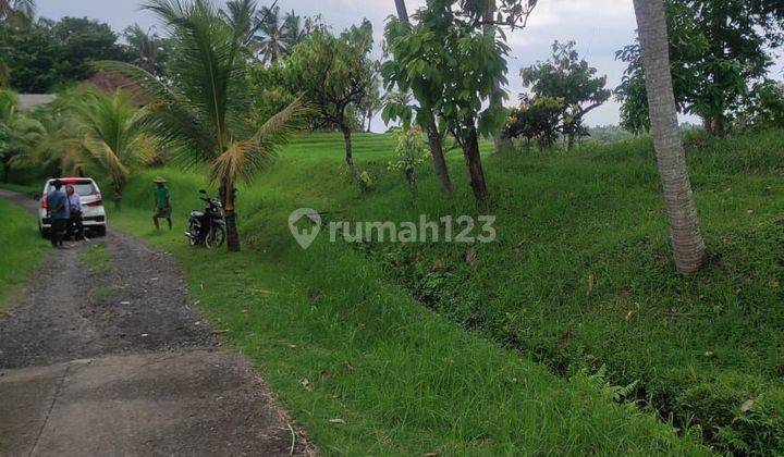 Land: 10,000 M2 (1 hectare) super rare ready to build Near Balian beach, Soka Antap Village Tabanan Bali  1