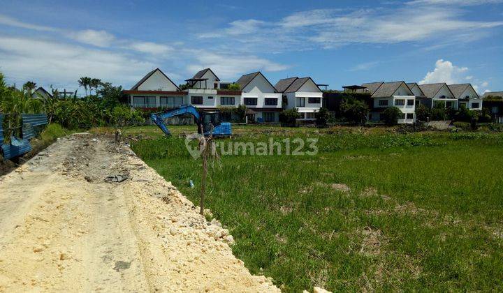 Tanah:1500 M2(15 Are ) Full View Laut & View Sawah Super Langka Siap Bangun Di Pantai Mengening Cemagi Bali 2