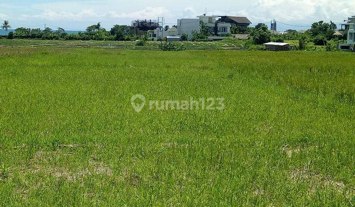 Land: 1500 M2 (15 are) full sea view & super rare rice field view ready to build on Mengening beach Cemagi Bali 2