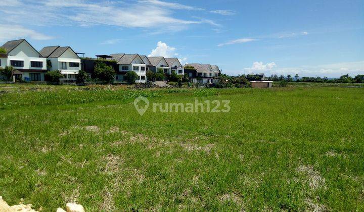 Tanah:1500 M2(15 Are ) Full View Laut & View Sawah Super Langka Siap Bangun Di Pantai Mengening Cemagi Bali 1