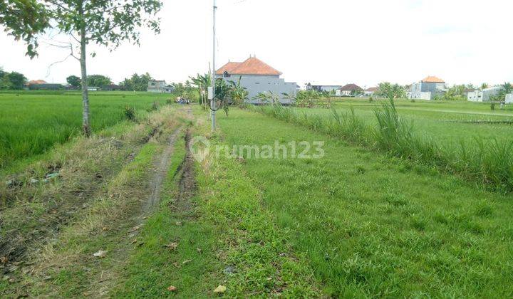 Tanah kavlingan sisa  4 SHM super langka siap Bangun Dekat pantai kelating kerambitan Tabanan Bali  1