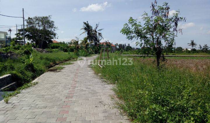 Tanah:5700 M2( 57 are ) los sungai super langka siap Bangun Di jln pantai Seseh Munggu Bali  2