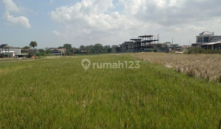 Land: 6000 M2 (60 are) super rare river los ready to build on Lima Pererenan beach Bali  2