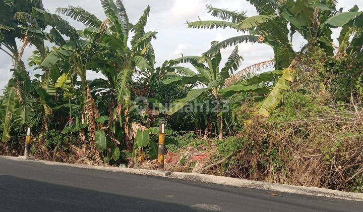 Tanah:1340 M2(13,4 are) super langka siap Bangun Di jalan utama Tumbak Bayuh Badung Bali  2