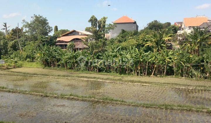 Tanah :1000 M2(10 are) los sungai view sawah super langka siap Bangun Di jalan padonan /Beringin Dekat  kawasan wisata Canggu Bali  2