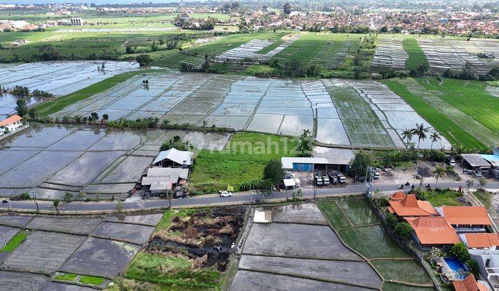 Tanah:2000 M2(20 are ) super langka siap Bangun Di jalan utama pantai Seseh Munggu Bali  2