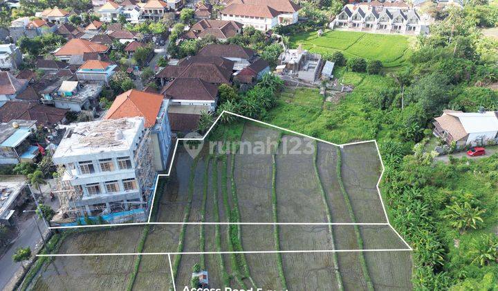 Tanah :1000 M2(10 are) los sungai view sawah super langka siap Bangun Di jalan padonan /Beringin Dekat  kawasan wisata Canggu Bali  1