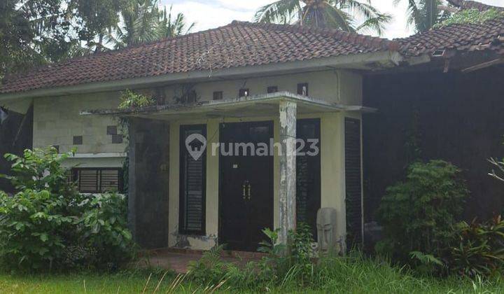 Tanah ocean view super langka siap Bangun Dekat pantai Balian Beach Tabanan Bali  1