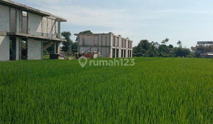 Tanah:1500 M2(15 are ) los sungai super langka siap Bangun Dekat pantai Seseh Bali  2