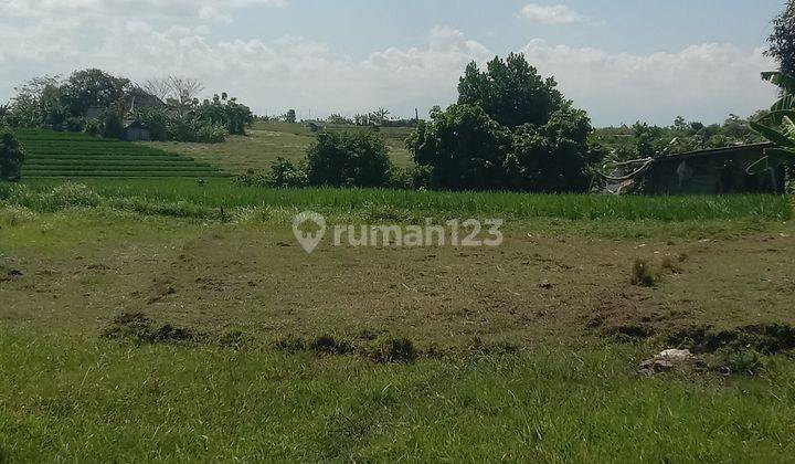 Tanah:300 M2(3 are) super langka siap Bangun Dekat kantor camat Kuta Utara Kerobokan Bali  1