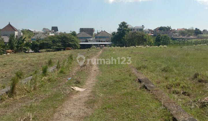 Tanah:300 M2(3 are) super langka siap Bangun Dekat kantor camat Kuta Utara Kerobokan Bali  2