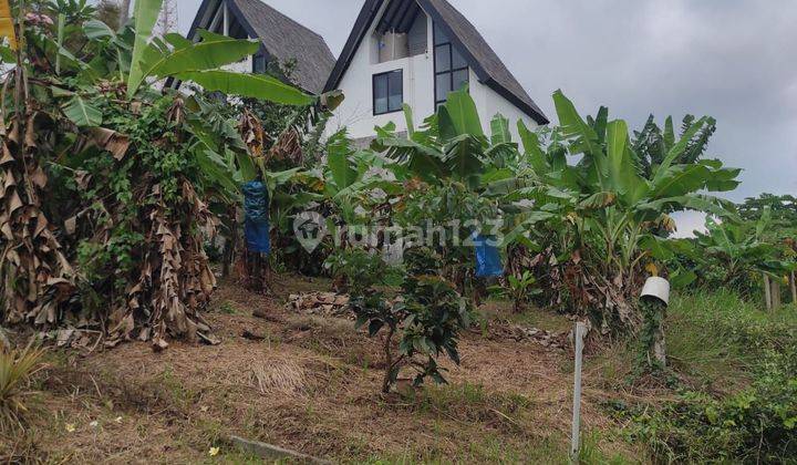 Tanah :200 M2(2 Are ) Super Langka Siap Bangun Di Belakang Hotel ,Resort Gajah Mina Balian Beach Tabanan Bali  1