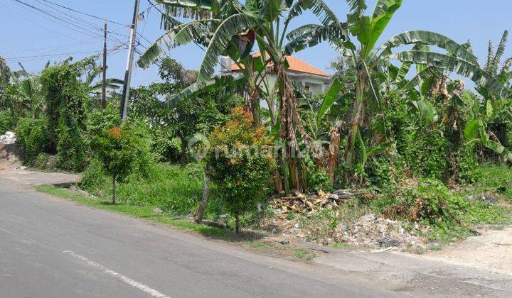 Tanah:700 M2(7 Are ) Super Langka Siap Bangun Di Jln Utama Kayu Tulang Canggu Bali  2