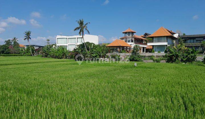 Tanah:2000 M2(20 Are ) Super Langka Siap Di Babakan Canggu Bali 1