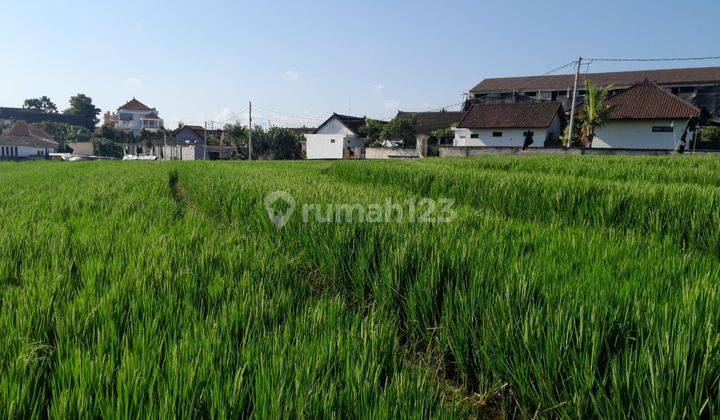 Land: 2000 M2 (20 Are) Super Rare Ready to Build in Babakan Canggu Bali 2