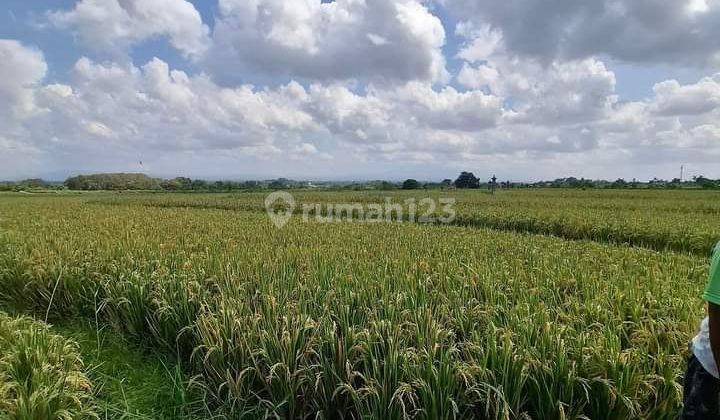 Tanah:3600 M2(36 Are) Super Langka Siap Bangun Dekat Pantai Kelating Tabanan Bali  2