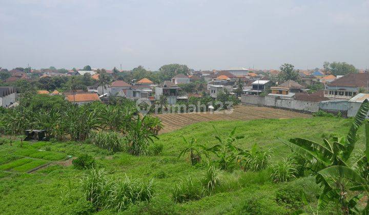 Tanah:227 M2( 2,27 Are ) Full View Sawah Siap Bangun Di Jln Padonan /Dalung Badung Bali  2