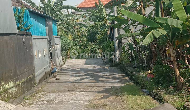 Tanah:185 M2(1,85 Are )super Langka Siap Bangun Di Munggu Bali  2