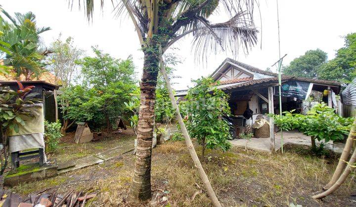 Tanah:340 M2(3,4 Are) Super Langka Siap Bangun Di Pantai Berawa Canggu Badung Bali  1