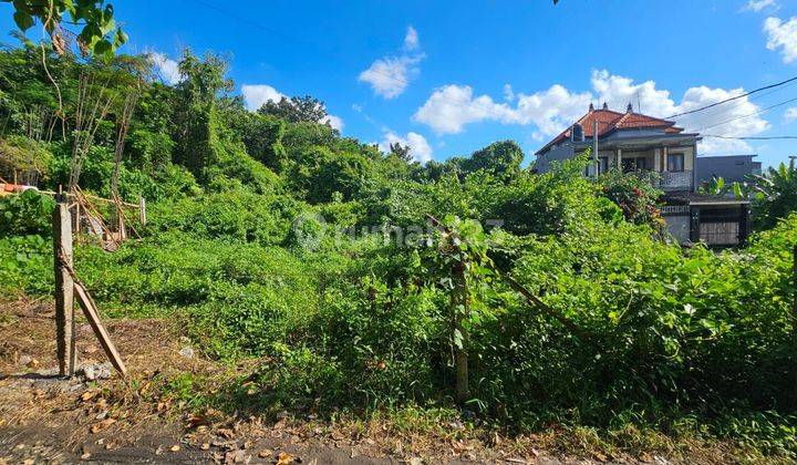 Tanah :371 M2(3,71 Are ) View Sawah & Tegalan Super Langka Siap Bangun Di Babakan Canggu Bali  2