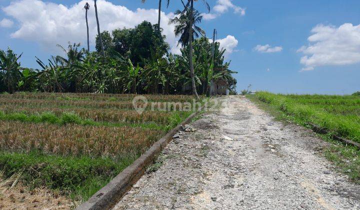 Tanah:1000 M2(10 Are ) Super Langka Siap Bangun Di Pantai Nyanyi Tanah Lot Tabanan Bali  2