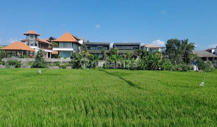 Tanah:2000 M2(20 Are ) Super Langka Siap Di Babakan Canggu Bali 2