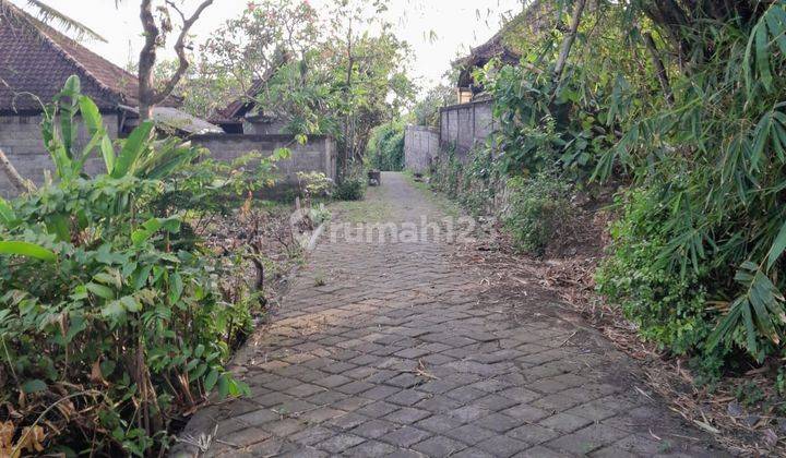 Land: 1000 M2 (10 Are) Super Rare Ready to Build on Jln Veteran Buduk Badung Bali 2