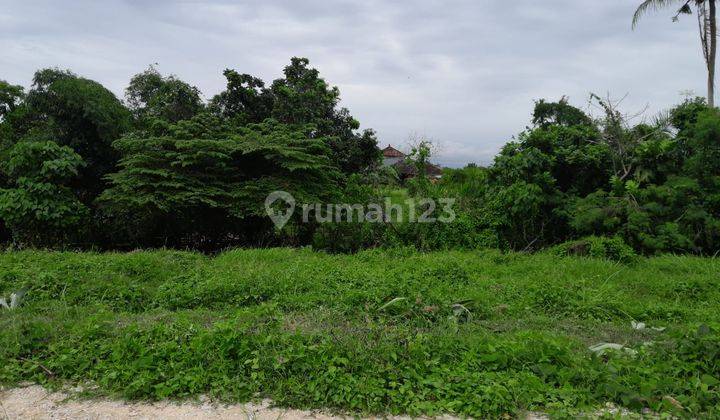 Tanah Kavlingan Villa Super Langka Siap Bangun Dekat Pantai Kedunggu Di Desa Nyetdah Tabanan Bali 2