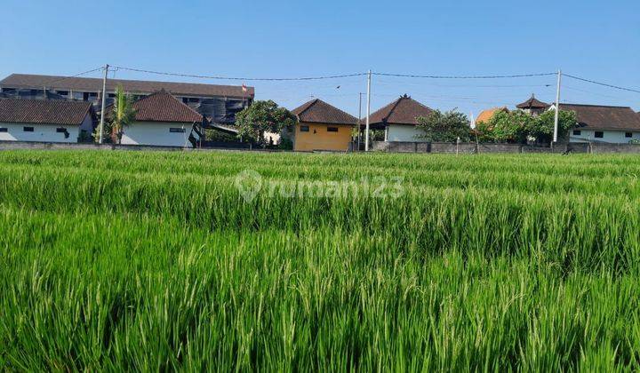 Land: 2000 M2 (20 Are) Super Rare Ready to Build in Babakan Canggu Bali