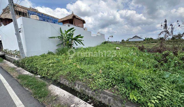 Land: 540 M2 (5.4 Are) Super Rare Ready to Build on the Main Road of Tumbak Bayuh Pererenan Bali 1