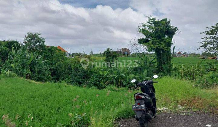 Tanah :572 M2(5,72 Are) Full View Sawah Siap Bangun Dekat Pantai Seseh Munggu Badung Bali  2