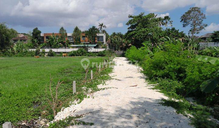 Tanah:1200 M2(12 Are ) Super Langka Siap Bangun Di Pantai Berawa Canggu Bali  2