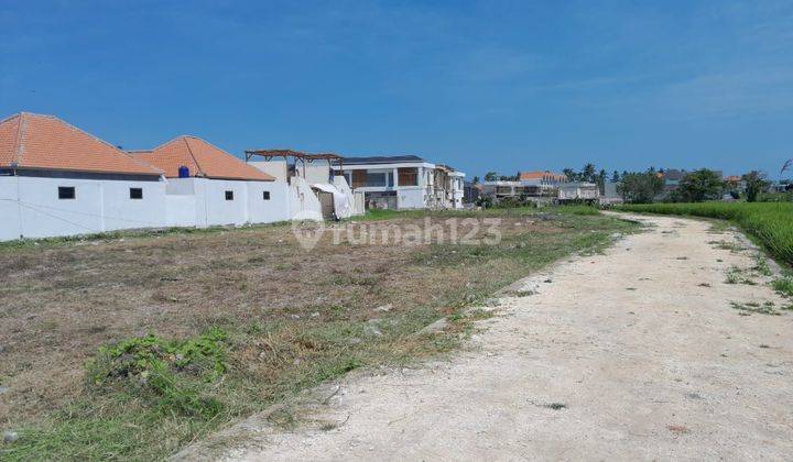 Land: 1000 M2 (10 Are) Full View Sawah Abadi Ready to Build Near Seseh Munggu Beach Badung Bali 1