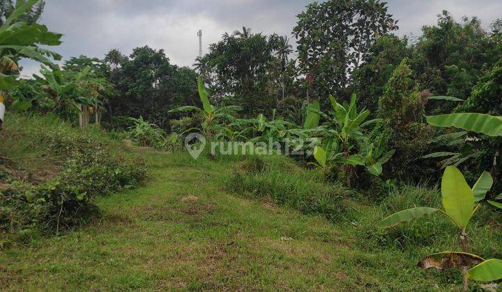 Tanah :200 M2(2 Are ) Super Langka Siap Bangun Di Belakang Hotel ,Resort Gajah Mina Balian Beach Tabanan Bali  2