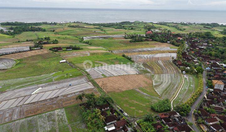 Tanah:3680 M2(36,8 Are) View Laut Siap Bangun Dekat Pantai Kelecung Tabanan Bali  1