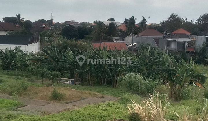 Tanah:200 M2( 2 Are ) Full View Sawah Siap Bangun Di Jln Padonan /Dalung Badung Bali  2