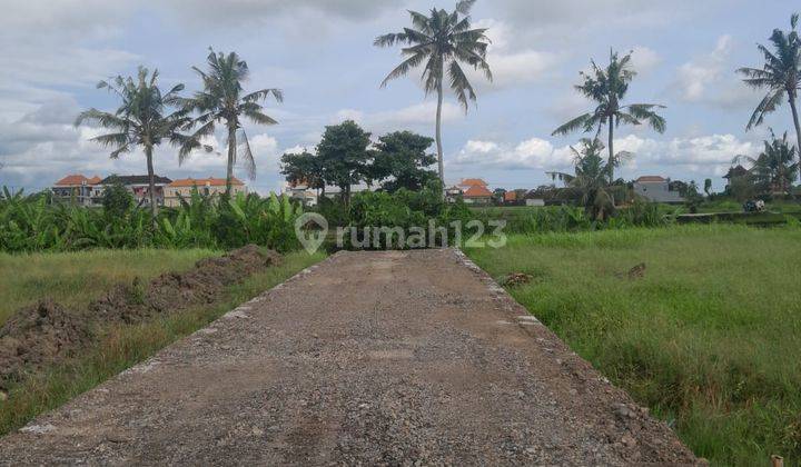 Tanah Kavlingan Sisa :300 M2(3 Are) Super Langka Siap Bangun Di Nyambu Kaba Kaba Tabanan Bali  1