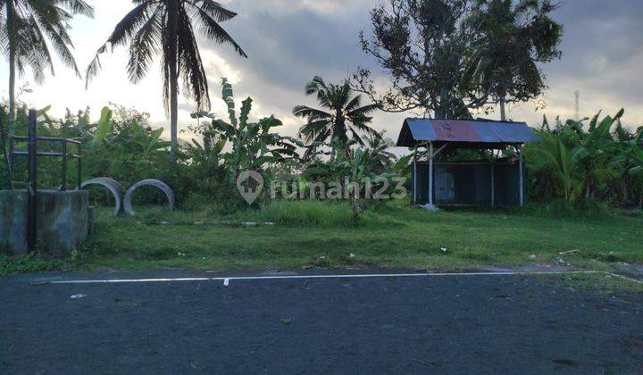 Tanah:1750 M2(17,5 Are ) Super Langka Siap Bangun Di Balian Beach Tabanan Bali  1