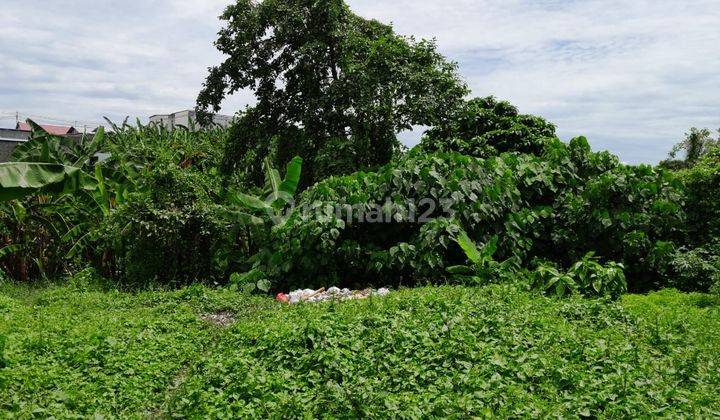 Tanah :200 M2(2 Are) Super Langka Siap Bangun Di Jln Padonan Tibubeneng /Dalung Bali  1