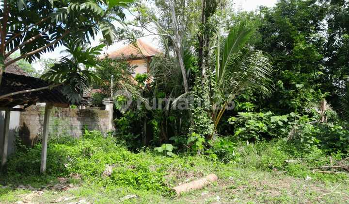 Tanah:1900 M2( 19 Are) Super Langka Siap Bangun Di Lodtunduh Ubud Gianyar Bali  2