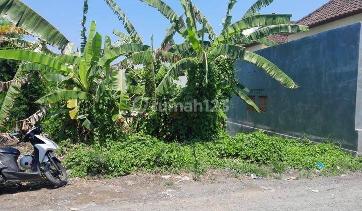 Tanah:800 M2 (8 Are ) Super Langka Siap Bangun Dekat Pantai Seseh Munggu Bali  2