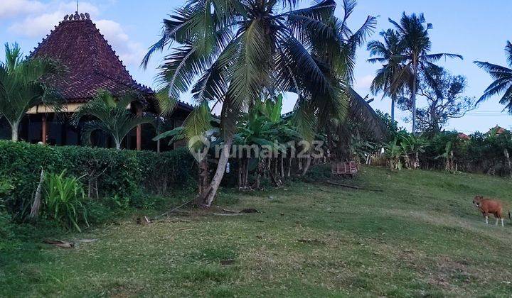 Tanah:1750 M2(17,5 Are ) Super Langka Siap Bangun Di Balian Beach Tabanan Bali  2