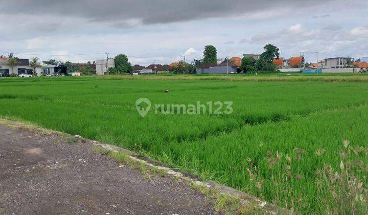 Tanah :572 M2(5,72 Are) Full View Sawah Siap Bangun Dekat Pantai Seseh Munggu Badung Bali  1