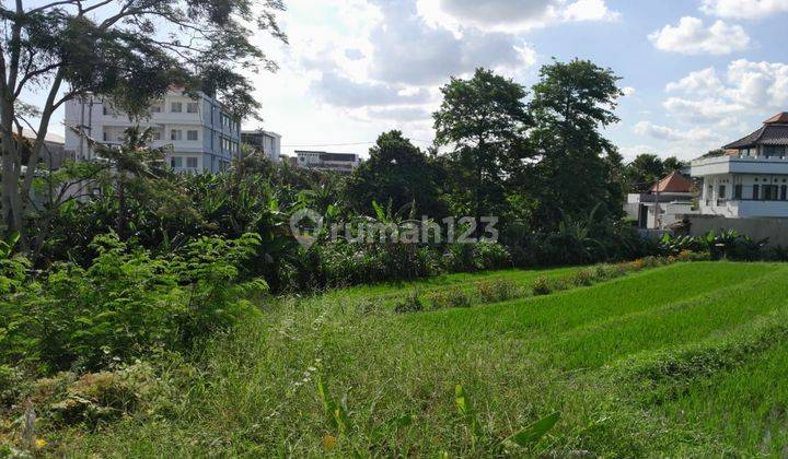 Land for Rent: 450 M2 (4.5 Are) Super Rare Ready to Build in Tumbak Bayuh Pererenan Bali  2